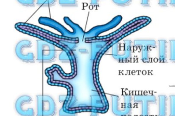 Как войти на кракен