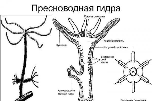 Сайт кракен рабочая ссылка