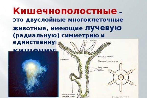 Рабочая ссылка на кракен в торе