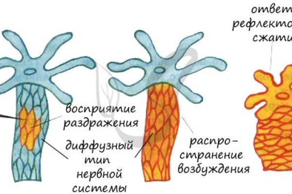 Кракен ссылка vtor